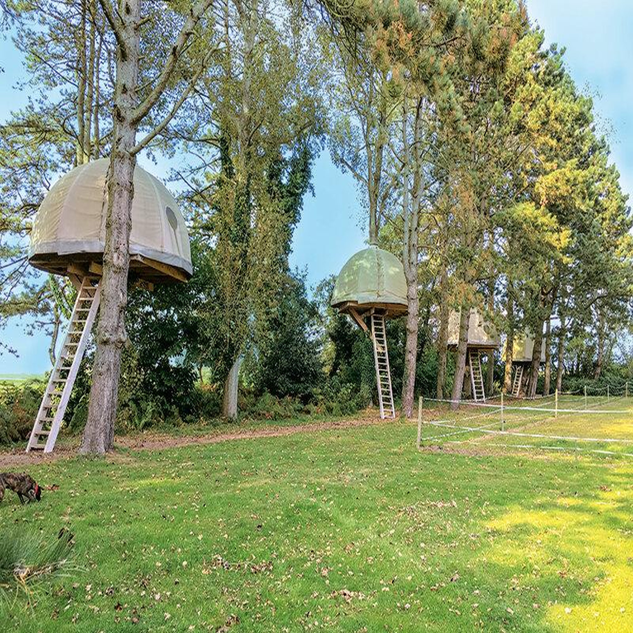 Voir la diapositive 4 : Smartbox Escapade insolite en cabane dans les arbres en normandie - coffret cadeau séjour