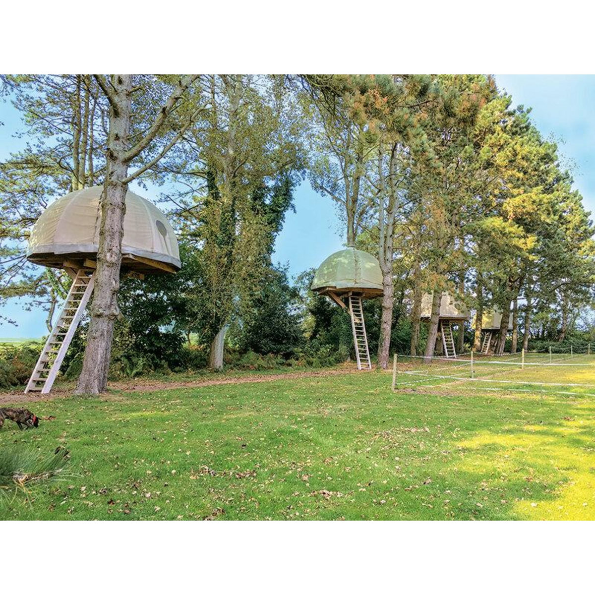 Smartbox Escapade insolite en cabane dans les arbres en Normandie - Coffret Cadeau Séjour