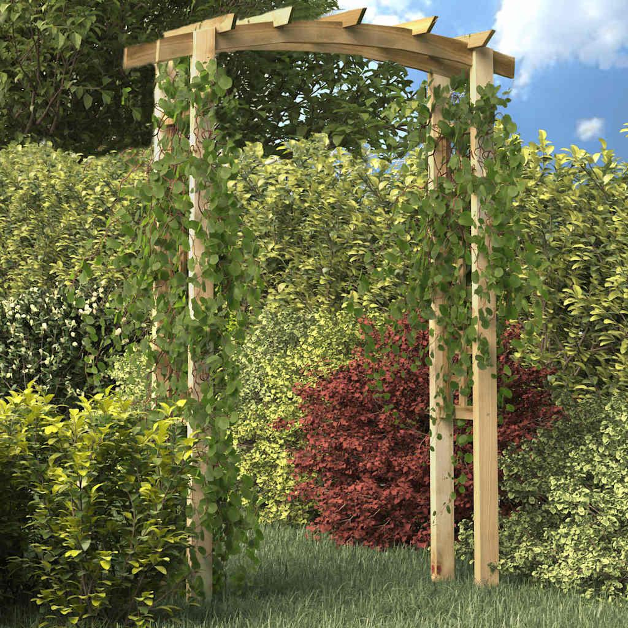 Voir la diapositive 3 : VIDAXL Voute en treillis 150x60x210 cm bois