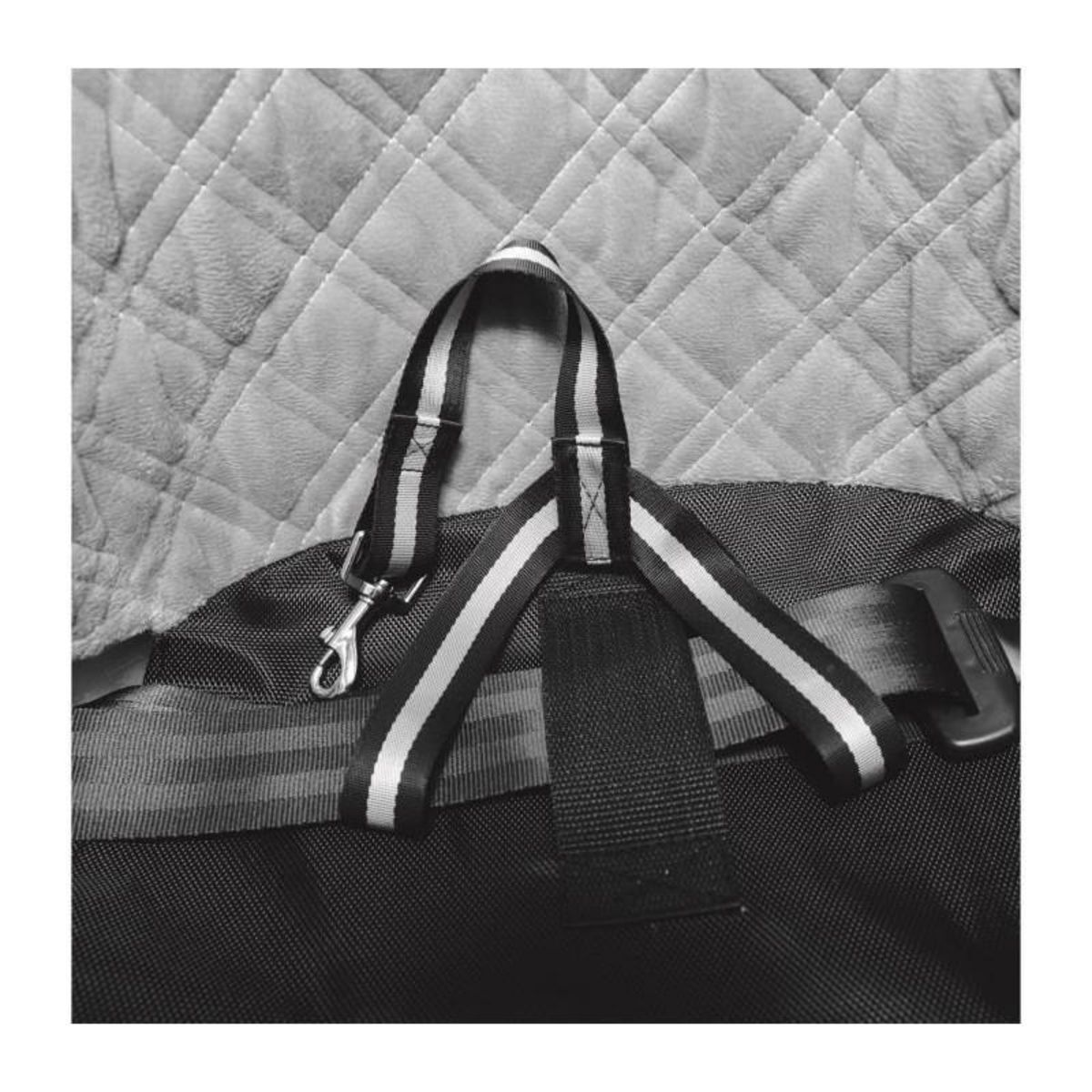 Trixie TRIXIE Siege de voiture - 45x39x42cm - Noir et gris - Pour chien