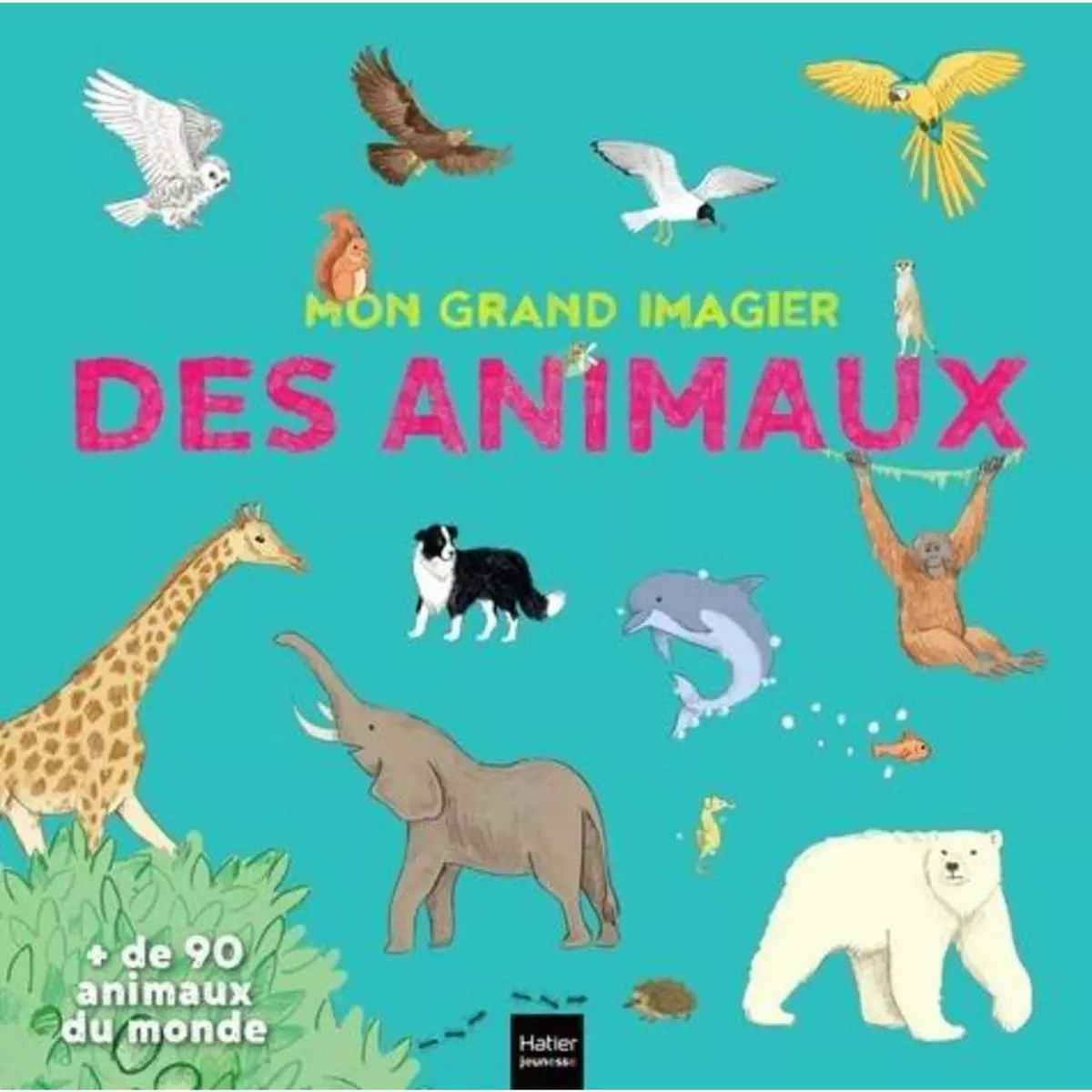  MON GRAND IMAGIER DES ANIMAUX. + DE 90 ANIMAUX DU MONDE, Rubini Stéphanie