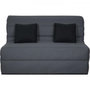 Voir la diapositive 1 : DUNLOPILLO Banquette BZ Dunlopillo - Tissu Gris - 140 x 190 cm - Matelas 12cm - 2 coussins noir