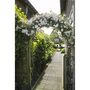 Voir la diapositive 2 : Nature Pergola autoportée arche - Acier noir - 229x113x38cm