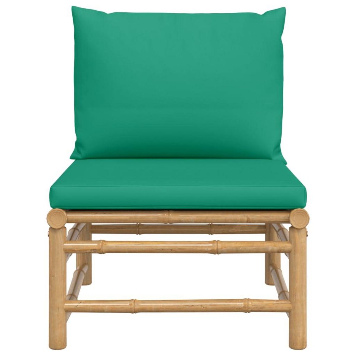 VIDAXL Canape central de jardin avec coussins vert bambou