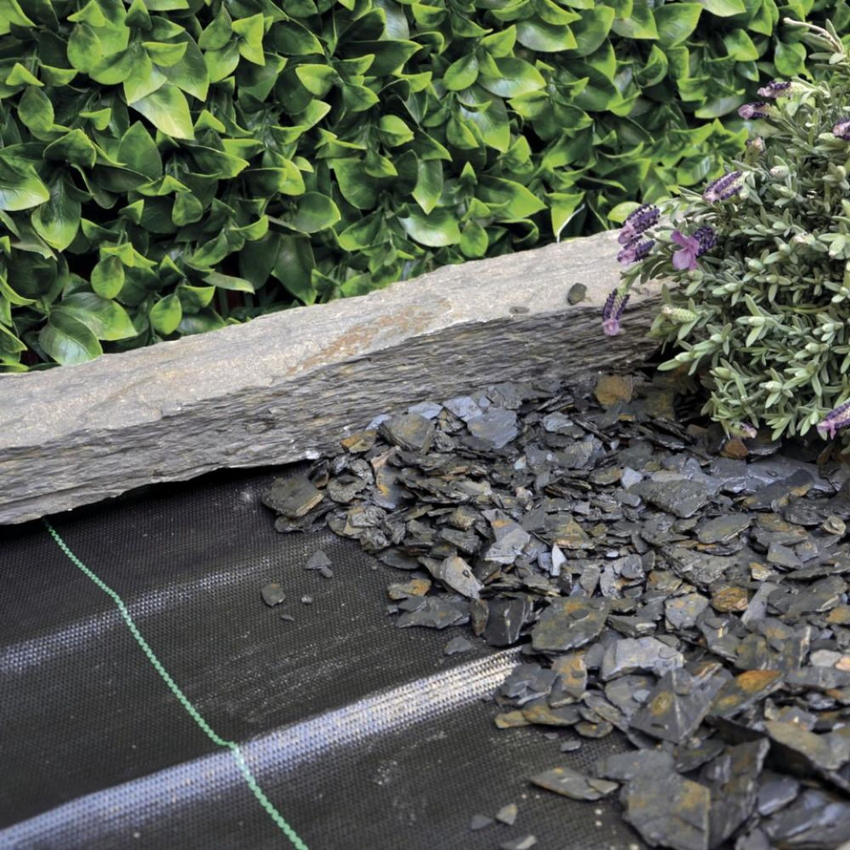 Nortene Toile de paillage tissée 100% polypropylène COVERSOL 90g/m² - 1,25 x 25 m - Noir