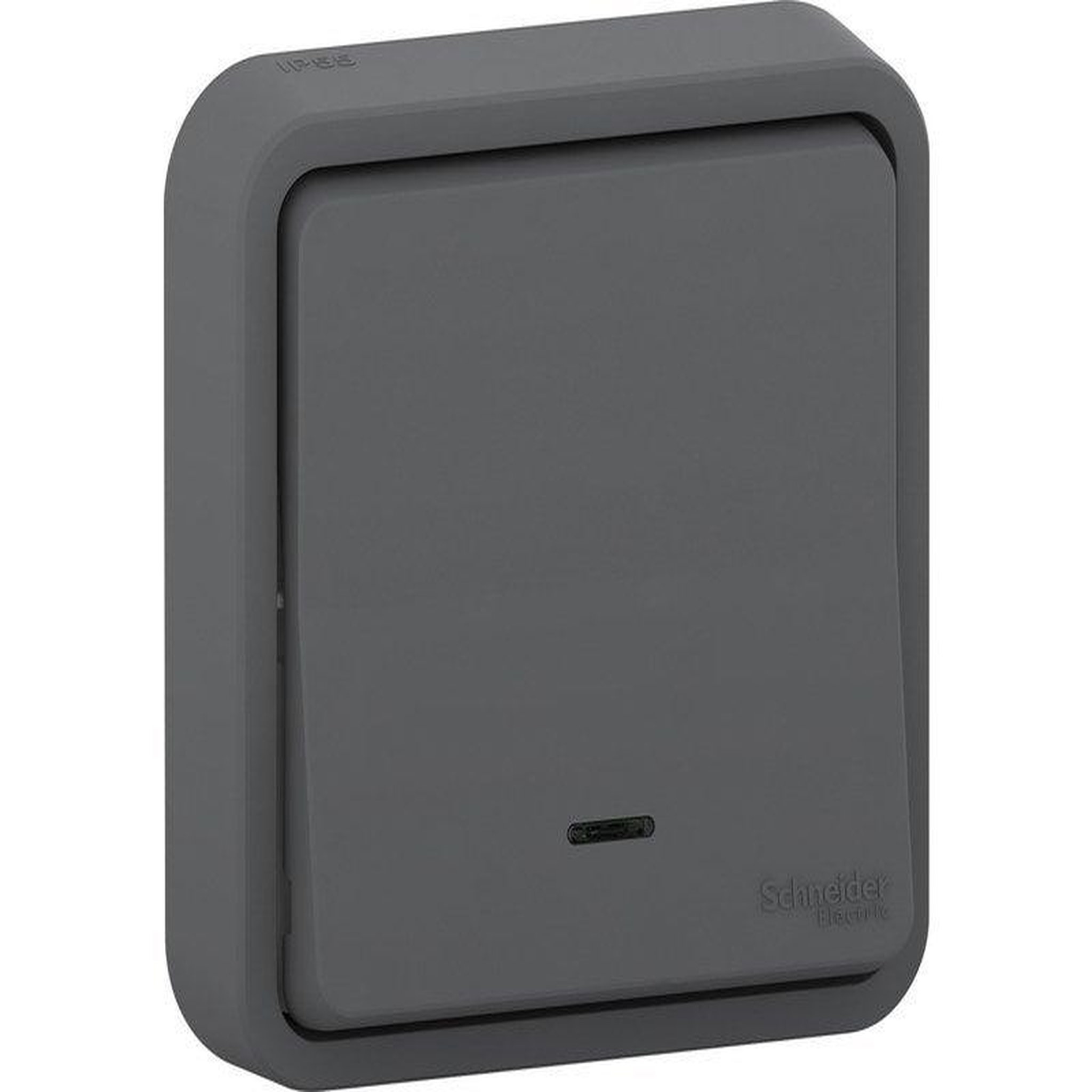 Schneider Electric Poussoir lumineux étanche complet Mureva Styl, SCHNEIDER ELECTRIC, anthracite