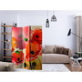 Voir la diapositive 2 : Paris Prix Paravent 3 Volets  Velvet Poppies III  135x172cm