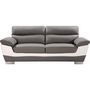Voir la diapositive 3 : Habitat et Jardin Canapé fixe en cuir reconstitué et PVC   Dallas  - 210 x 88 x 90 cm - 3 places - Gris/Blanc