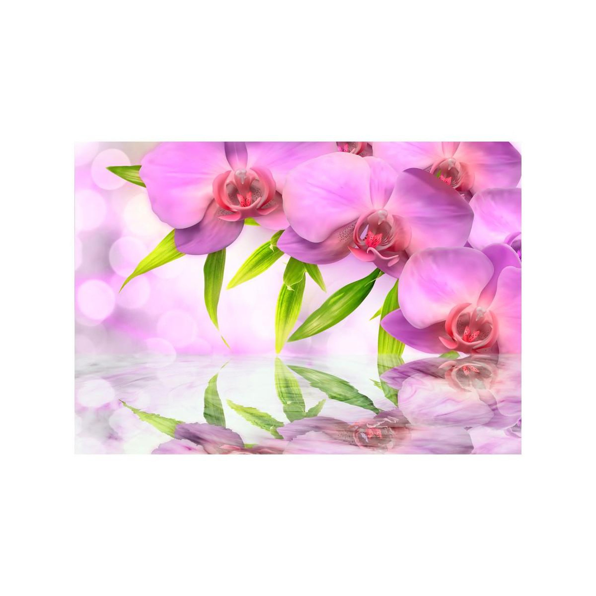 Voir la diapositive 2 : Paris Prix Papier peint  orchids in lilac colour