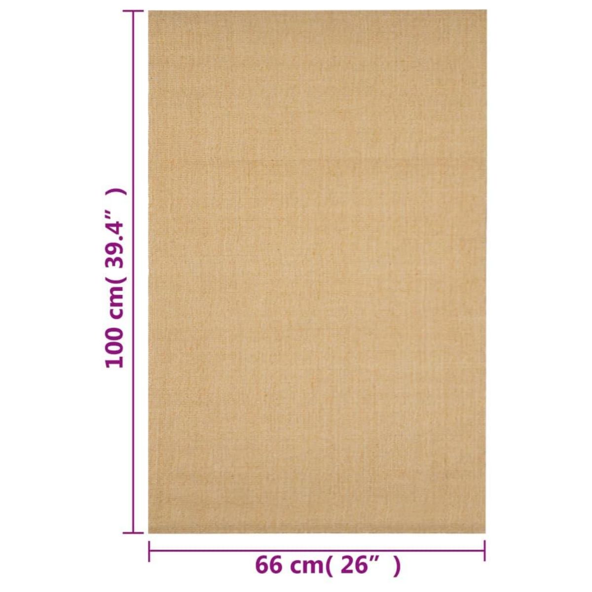 VIDAXL Tapis Sisal naturel 66x100 cm