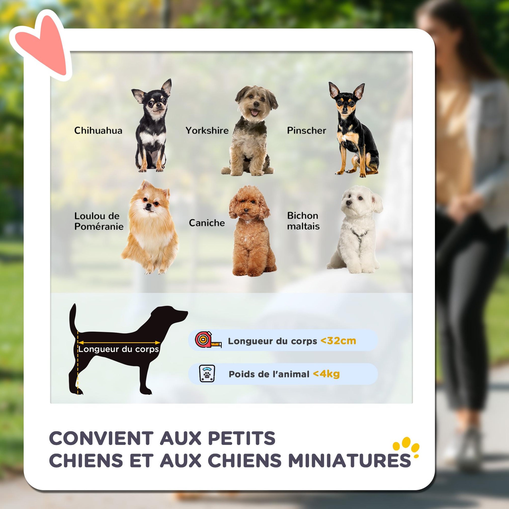 Voir la diapositive 6 : PAWHUT Poussette buggy pliable chien chat panier rangement porte-gobelets tissu 300d oxford imperméable 4 roues rouge