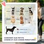 Voir la diapositive 6 : PAWHUT Poussette buggy pliable chien chat panier rangement porte-gobelets tissu 300D Oxford imperméable 4 roues rouge