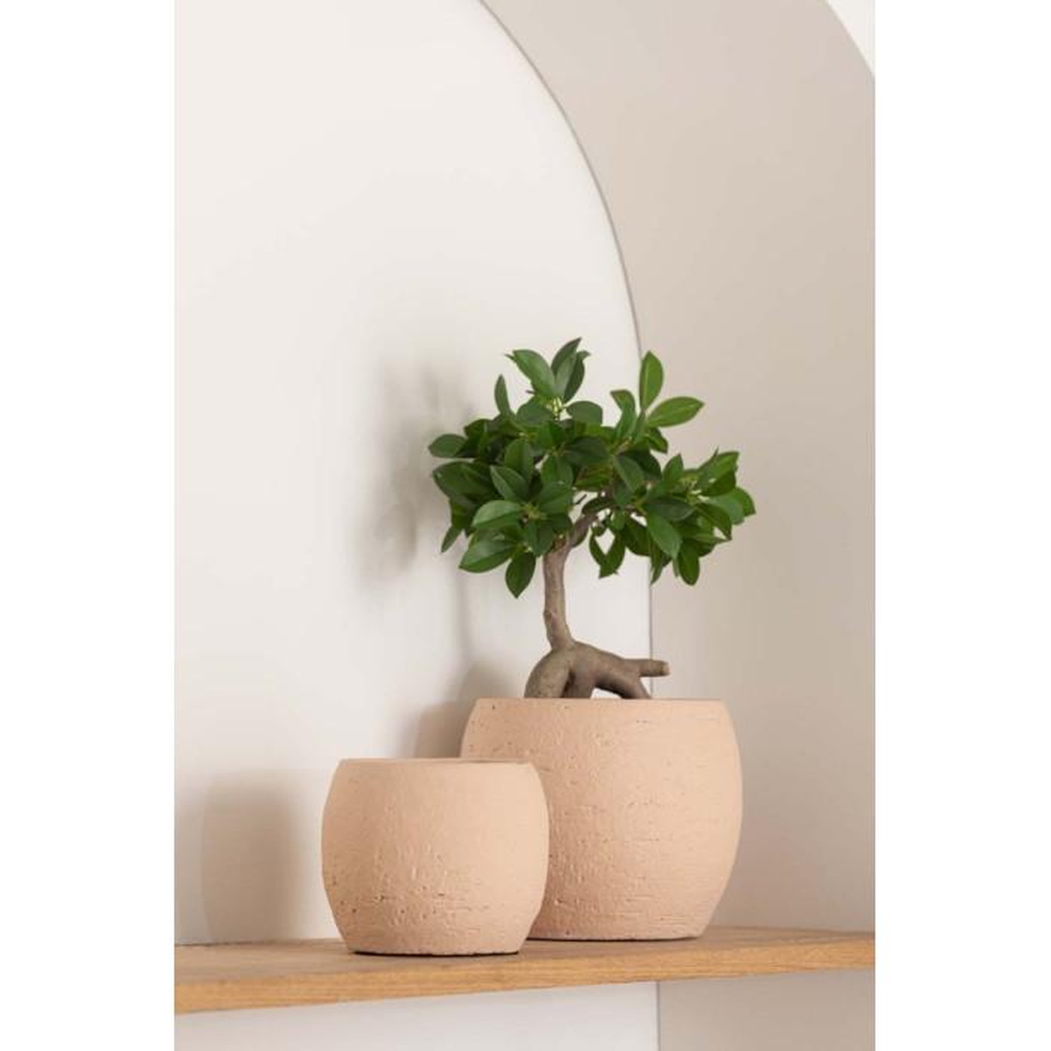 Voir la diapositive 3 : Paris Prix Cache-Pot en Céramique  Enya  20cm Beige