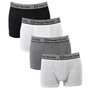 Voir la diapositive 2 : SERGIO TACCHINI Boxer SERGIO TACCHINI