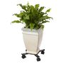 Voir la diapositive 5 : NATURE Nature Support roulant reglable pour plantes 4 bras Metal Noir