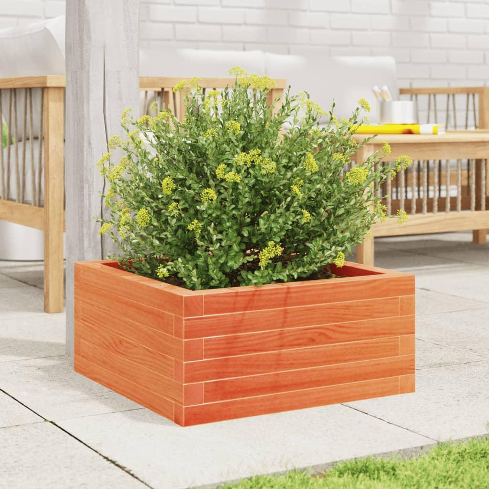 Voir la diapositive 3 : VIDAXL Jardiniere cire marron 50x50x23 cm bois de pin massif