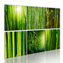 Voir la diapositive 1 : Paris Prix Tableau Imprimé  Nombreux Visages du Bambou