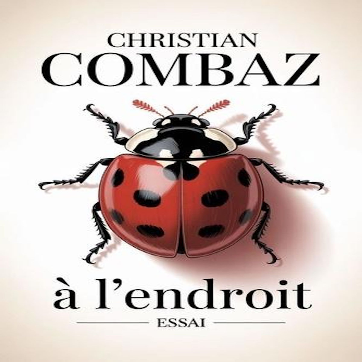 A L'ENDROIT, Combaz Christian