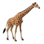 Figurines Collecta Figurine Girafe