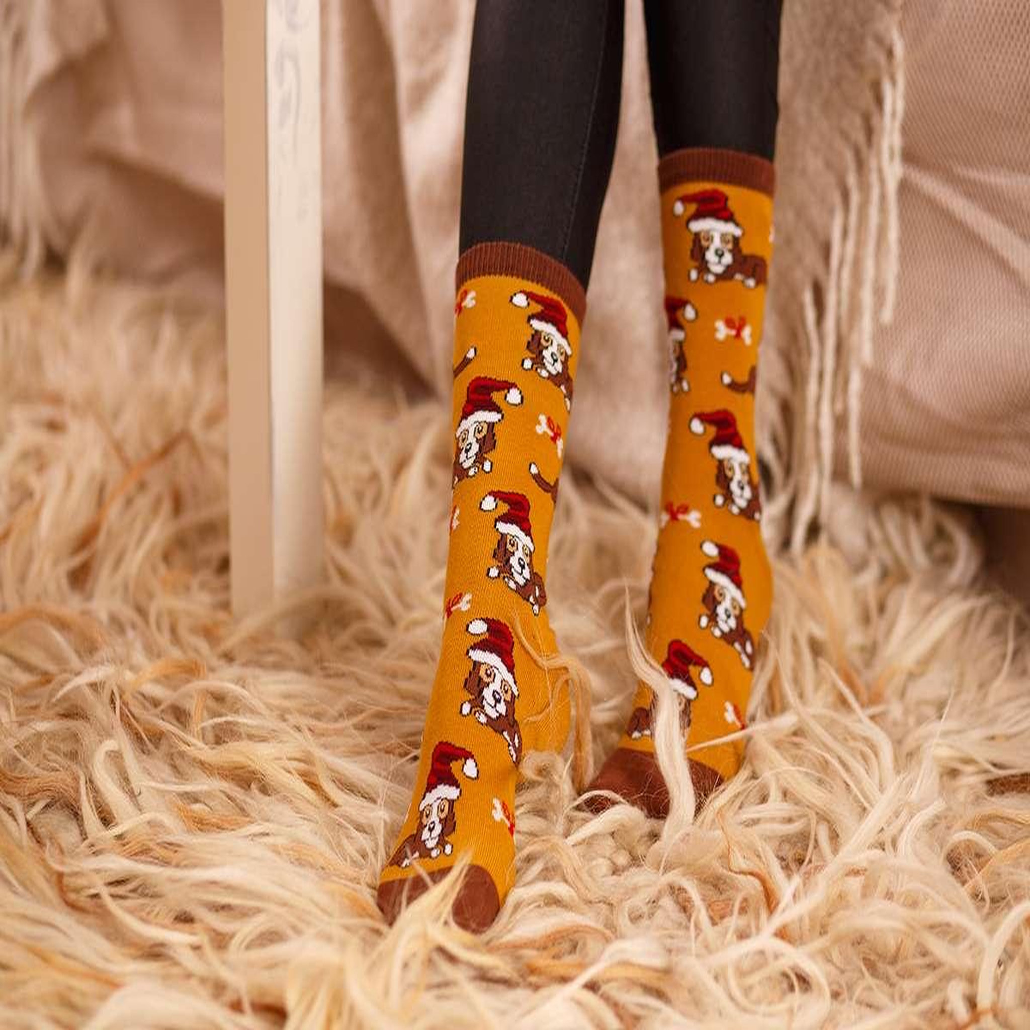 Voir la diapositive 2 : PIRIN HILL Chaussettes coton bio chiens
