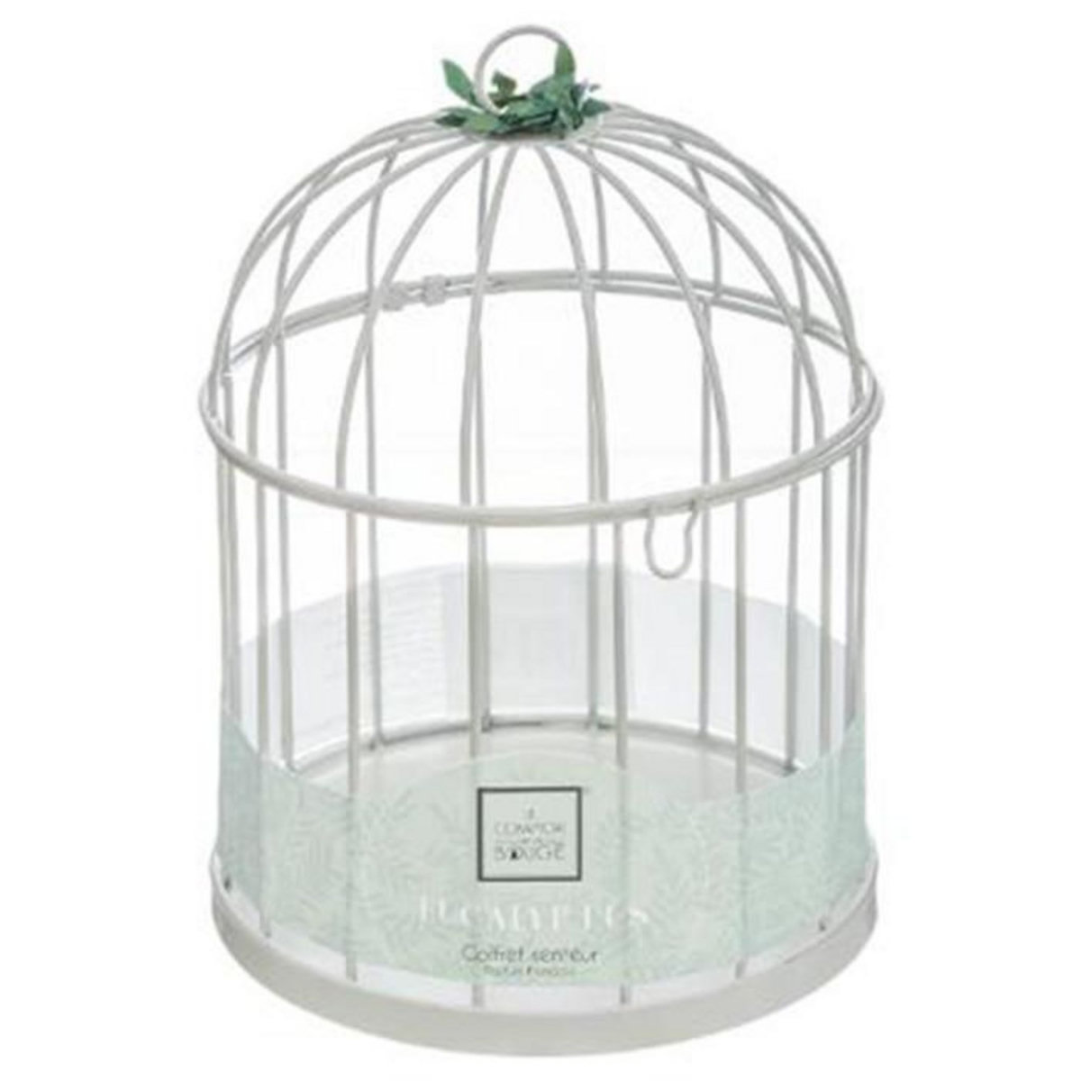 COMPTOIR DE LA BOUGIE Coffret de Fragrances  Cage  20cm Eucalyptus