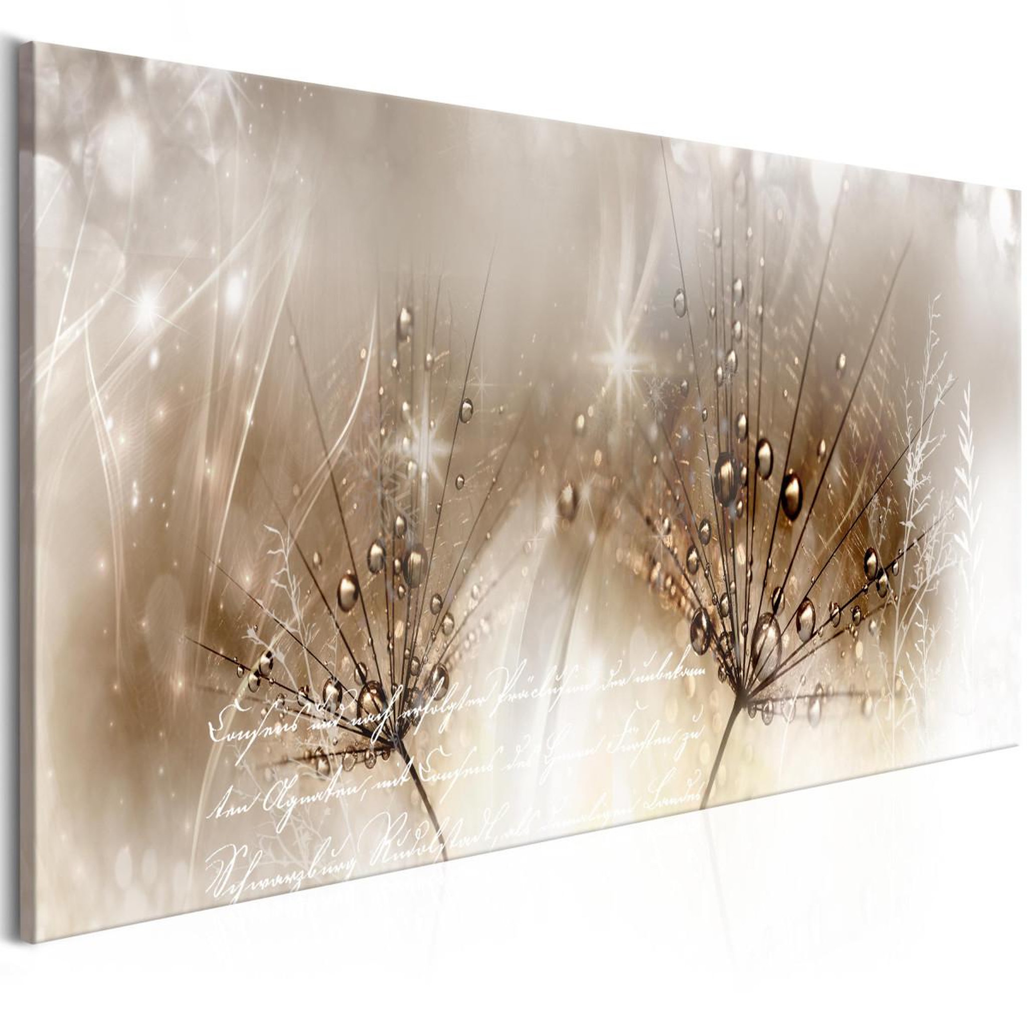 Paris Prix Tableau imprimé  drops of dew brown narrow. Coloris disponibles : Multicolore