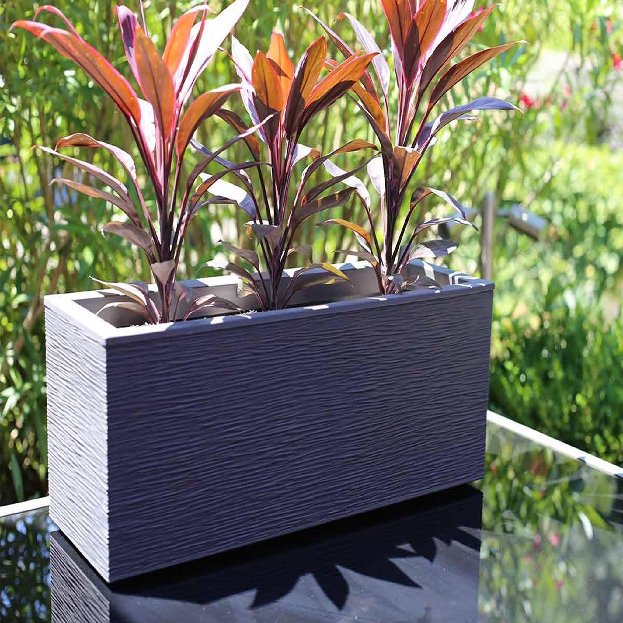 Voir la diapositive 2 : Eda Balconnière rectangulaire graphit up 59 x 19,5 x 22,8 cm - 25 l - gris anthracite - eda
