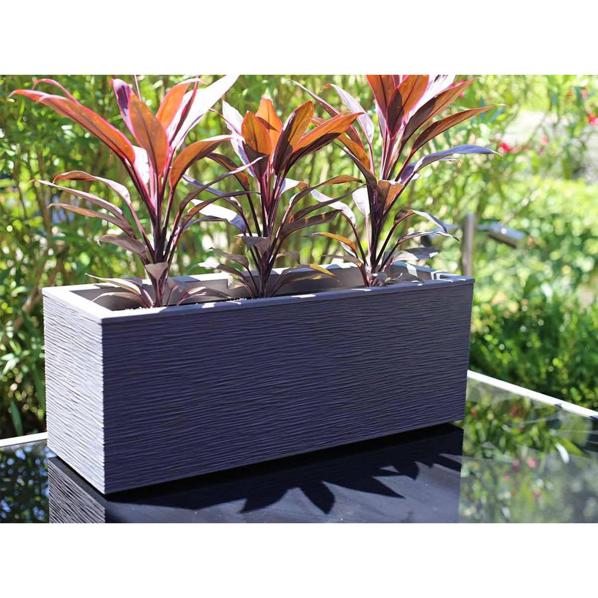 Eda Balconnière rectangulaire Graphit Up 59 x 19,5 x 22,8 cm - 25 L - Gris anthracite - Eda