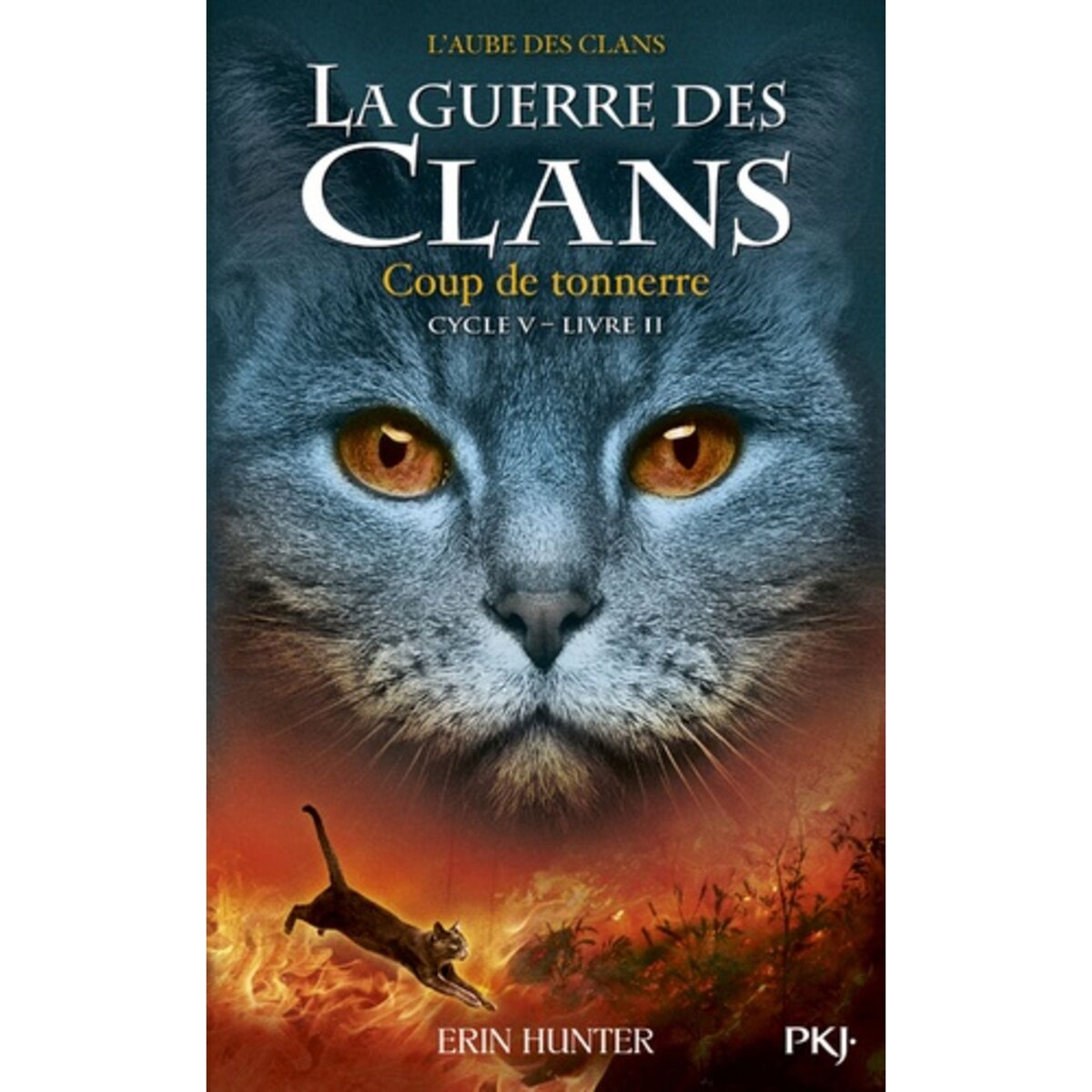  LA GUERRE DES CLANS : L'AUBE DES CLANS (CYCLE V) TOME 2 : COUP DE TONNERRE, Hunter Erin