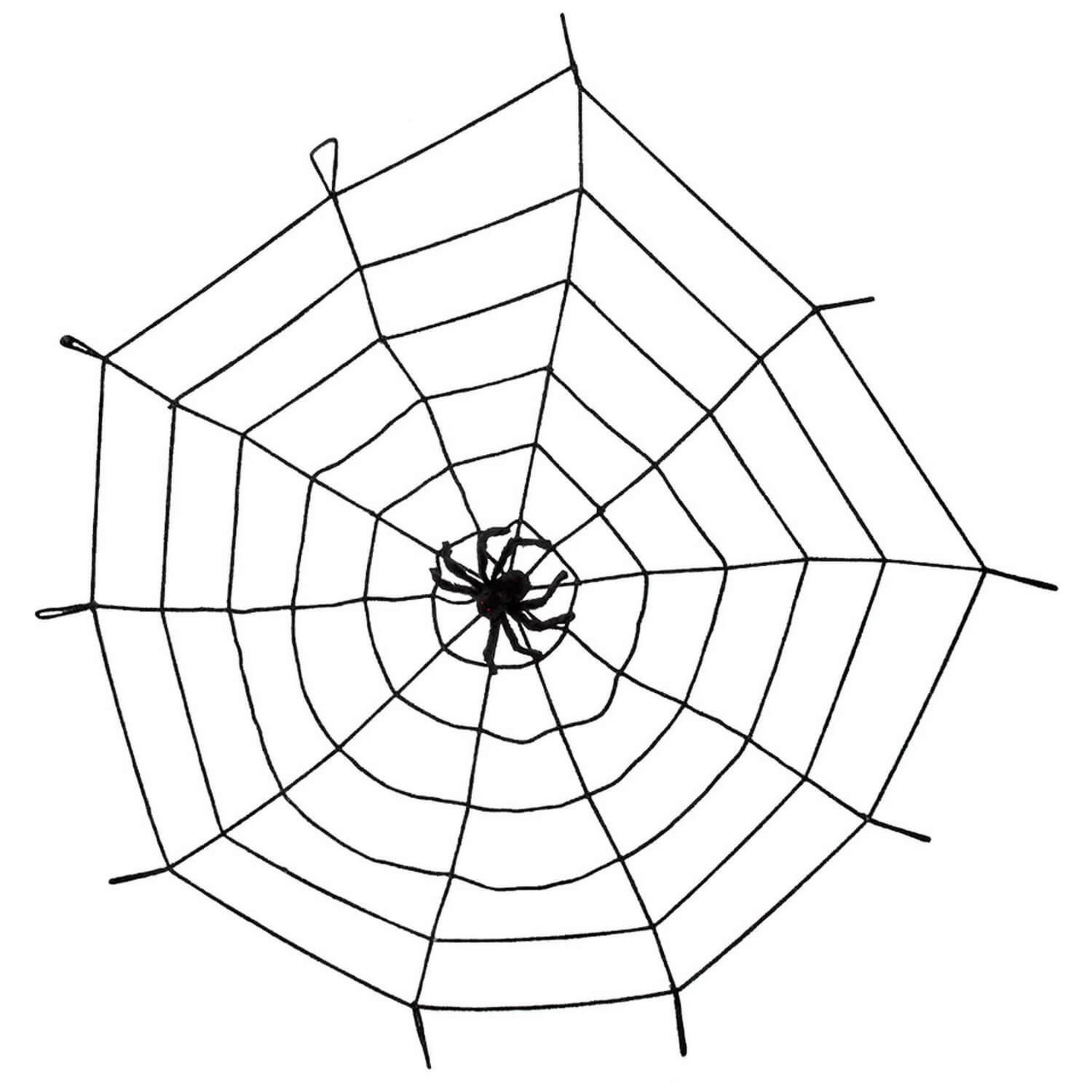Boland Toile d'araignée élastique avec araignée