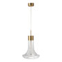 Voir la diapositive 1 : Paris Prix Lampe Suspension en Verre  Vito  34cm Transparent & Or