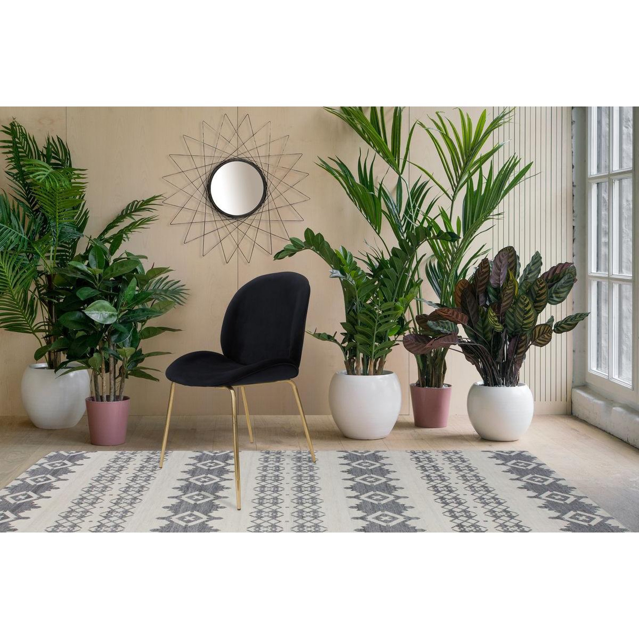 Voir la diapositive 3 : Paris Prix Lot de 2 chaises design  charlize  90cm noir & or