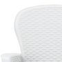 Voir la diapositive 5 : VIDAXL Ensemble de bistro 3 pcs Plastique Blanc Aspect de rotin