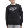 Voir la diapositive 2 : Jack & Jones Sweat  Homme Jack & Jones Makoto