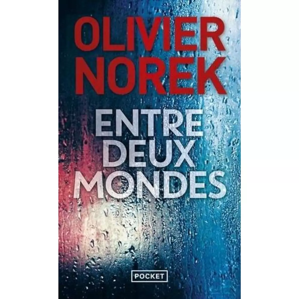  ENTRE DEUX MONDES, Norek Olivier