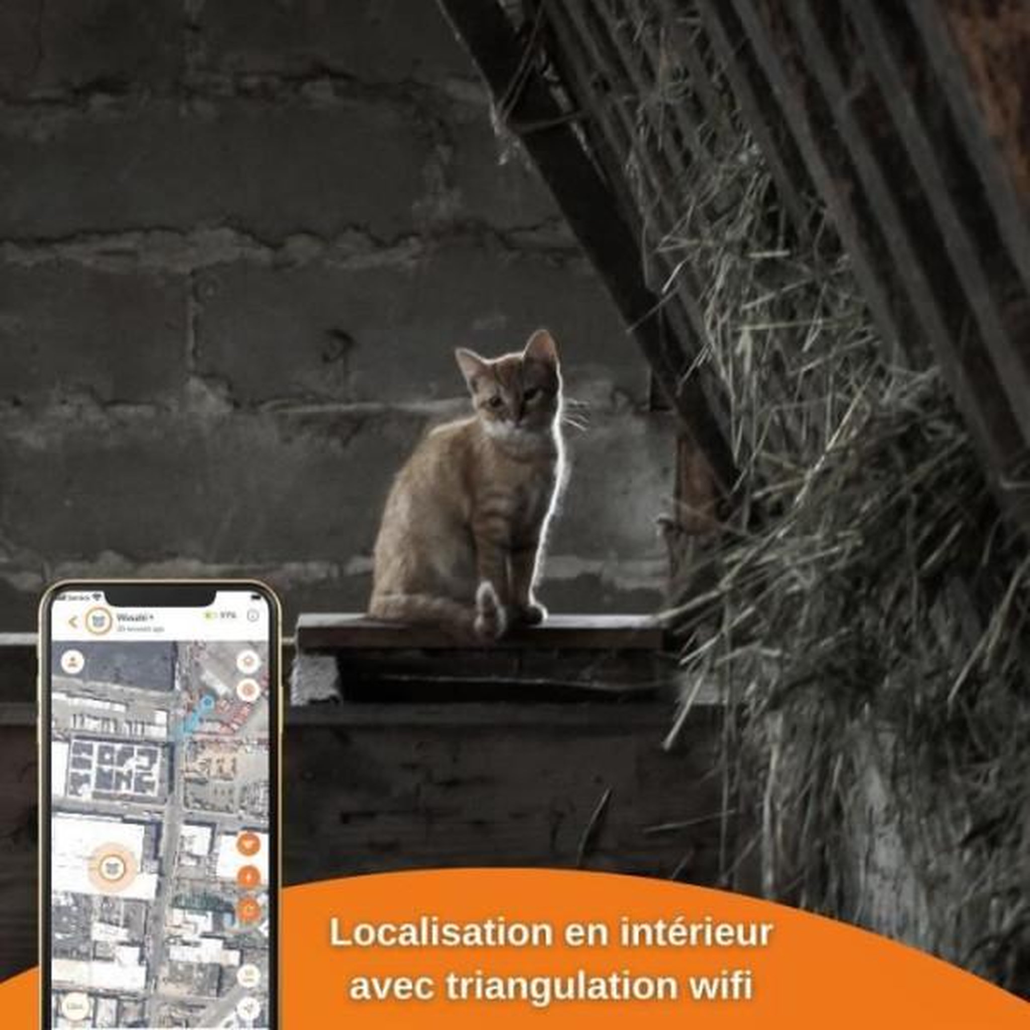 Voir la diapositive 4 : WEENECT Traceur GPS pour Chat - Weenect XS (Black Edition 2023)