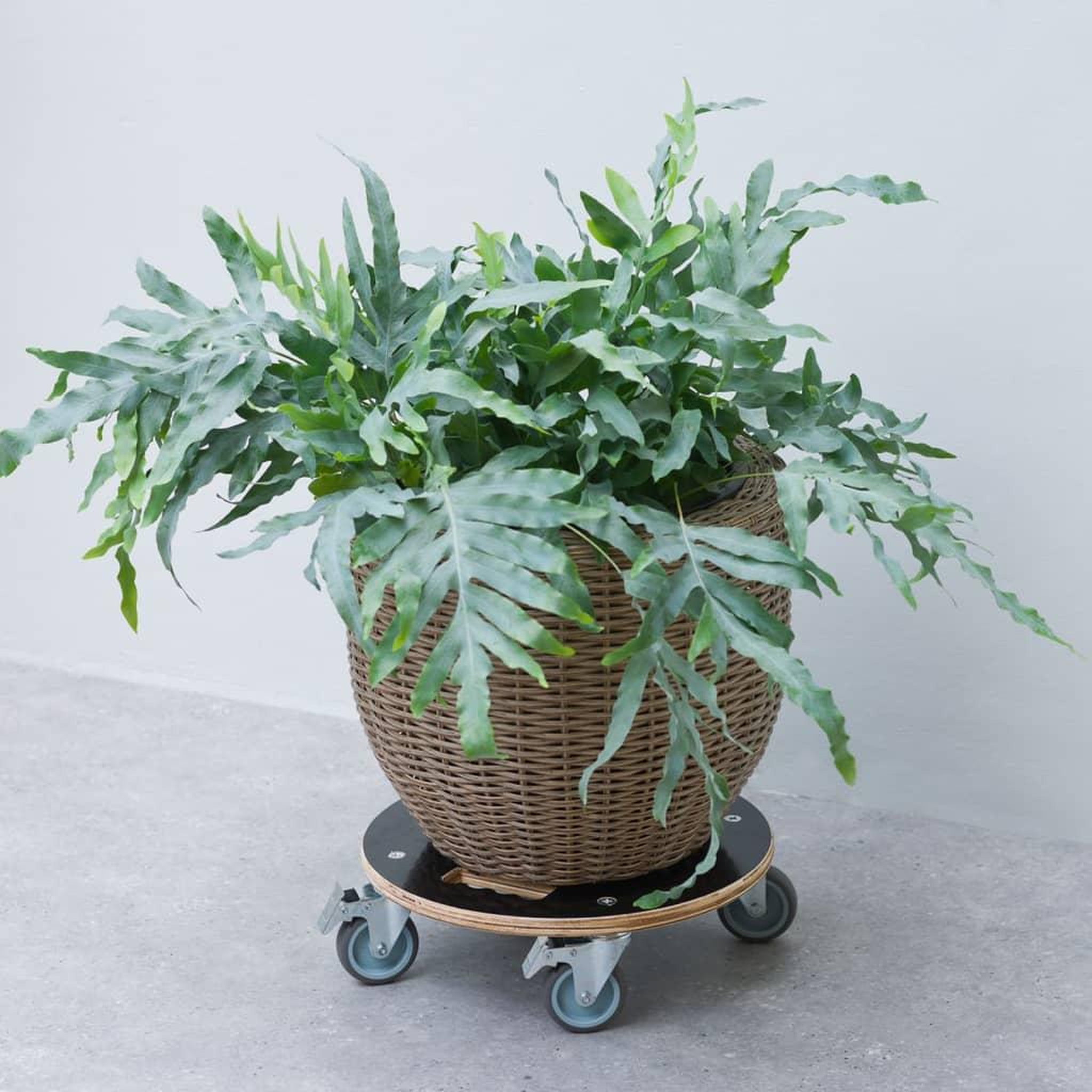 NATURE Nature Chariot a plantes rond Ø38 cm noir bois