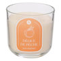 Voir la diapositive 1 : ATMOSPHERA Bougie Parfumée en Verre  Floa  610g Pêche