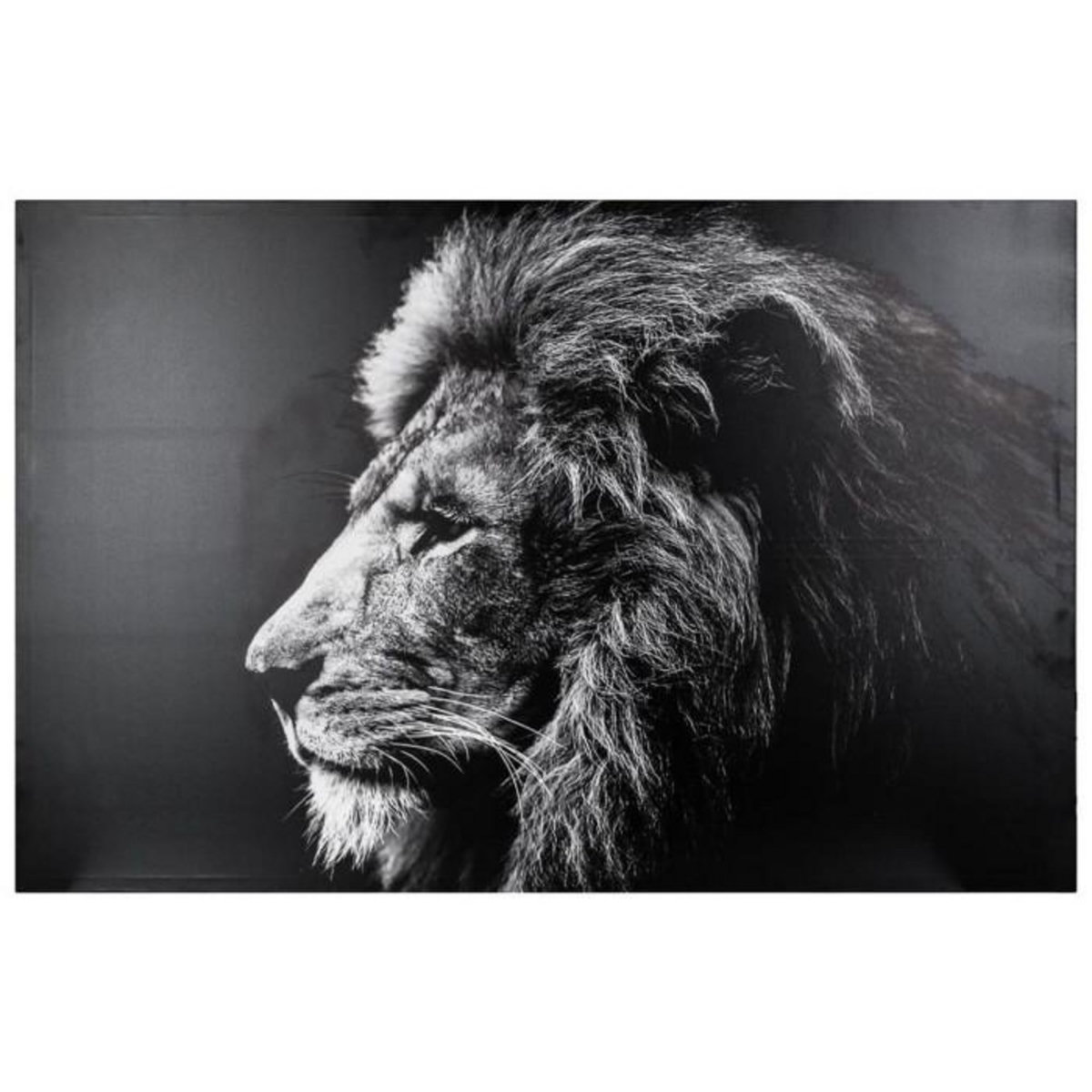 ATMOSPHERA Toile Imprimée  Lion  78x118cm Noir & Blanc
