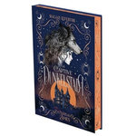 LA CAPTIVE DE DUNKELSTADT, Lefebvre Magali