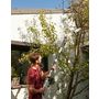 Voir la diapositive 2 : GARDENSTAR Elagueuse sur batterie - 20V