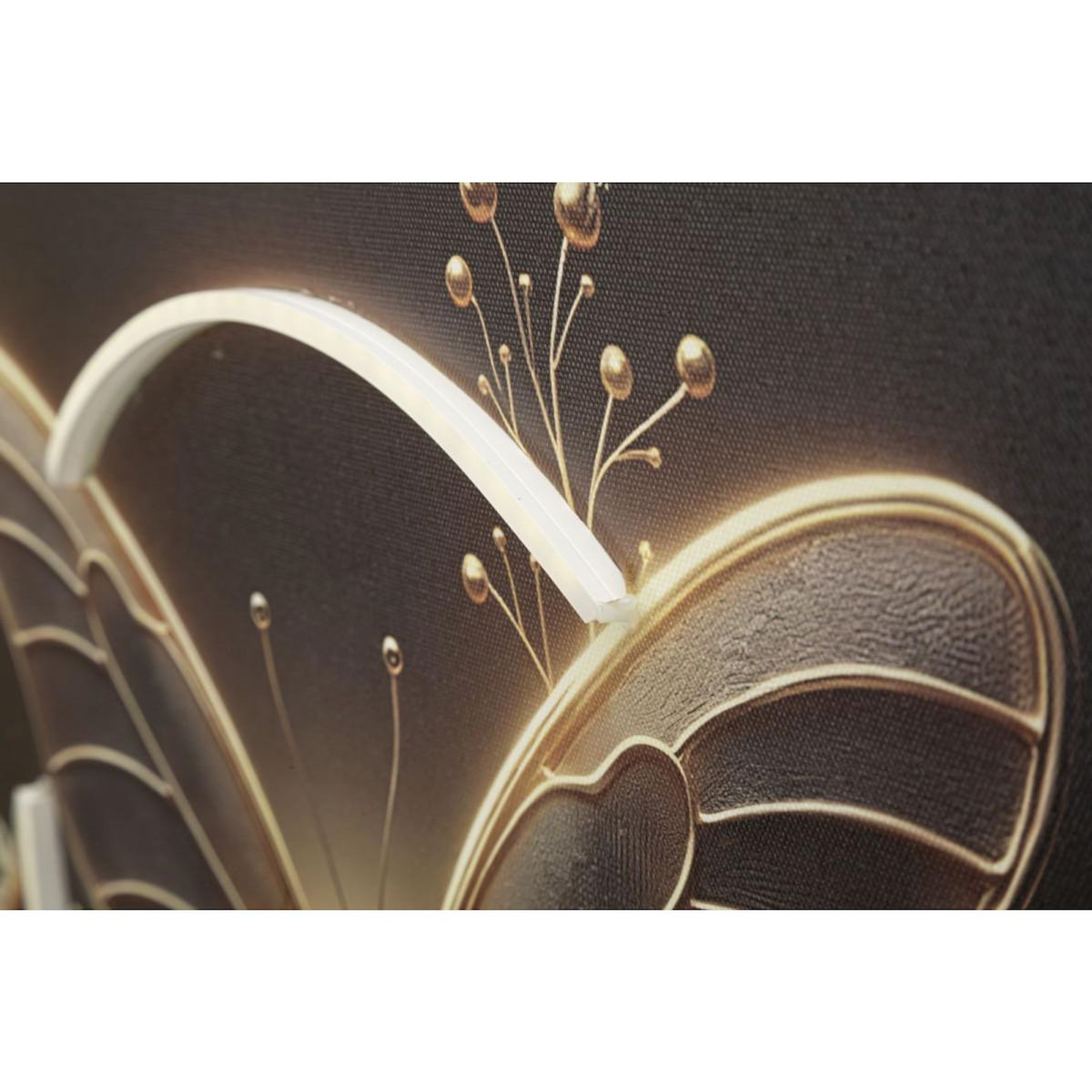 Paris Prix Tableau Imprimé à LED  Butterfly  50x50cm Multicolore