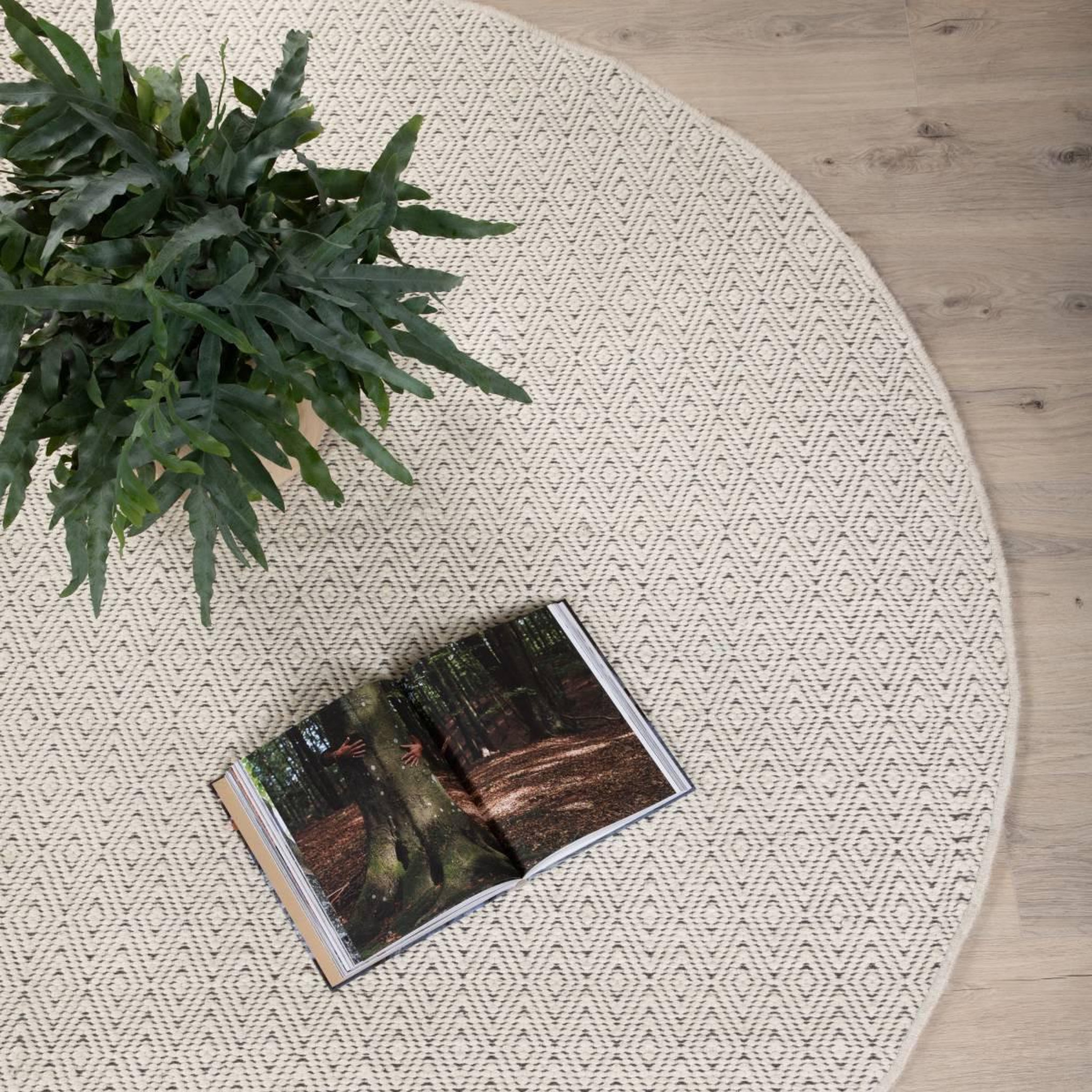 Voir la diapositive 4 : Paris Prix Tapis rond  julana  200cm beige