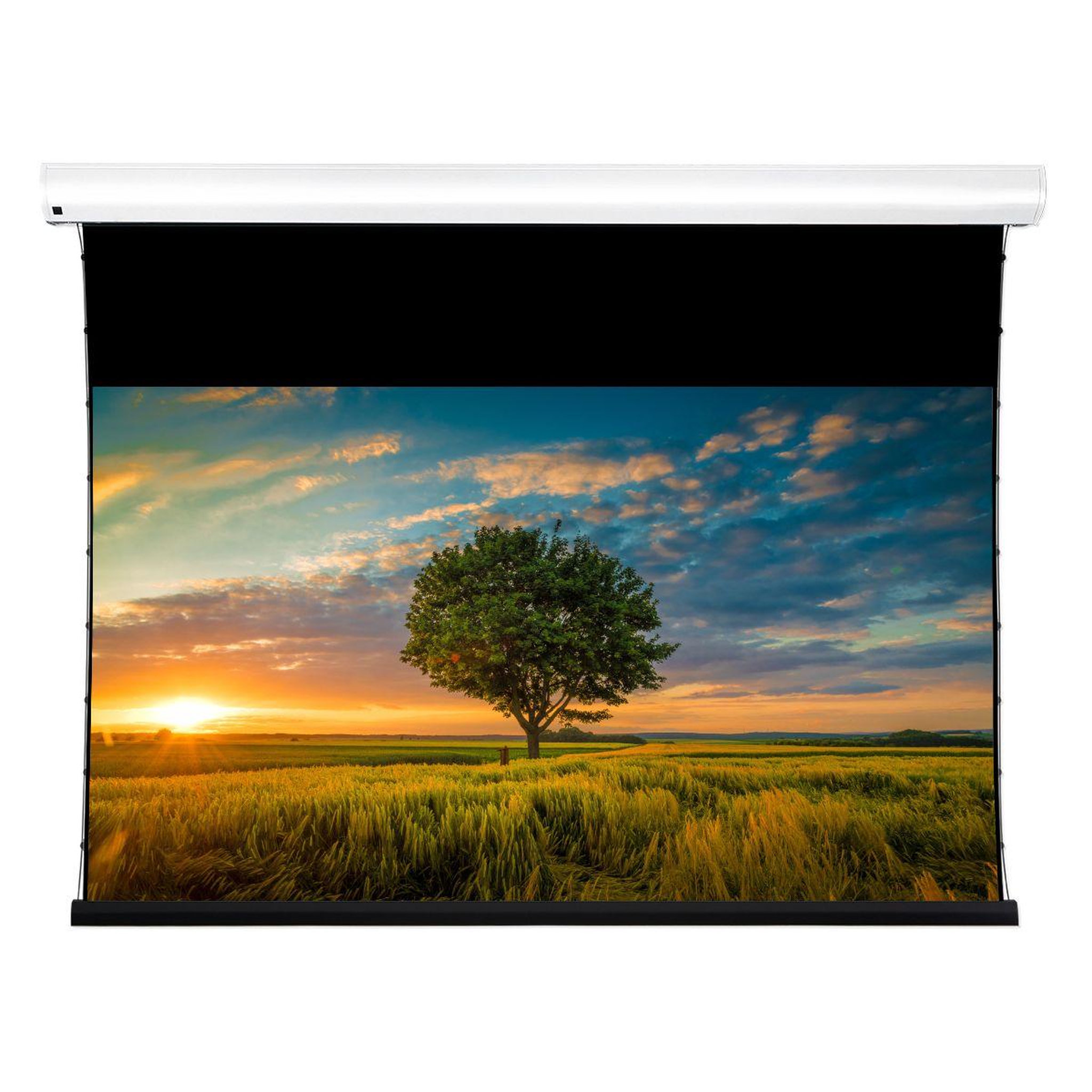 LUMENE Ecran de projection coliseum extra bright 240c