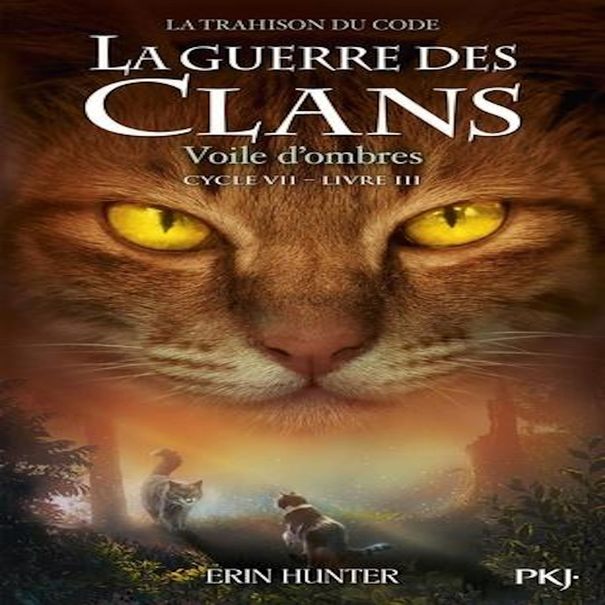 LA GUERRE DES CLANS : LA TRAHISON DU CODE (CYCLE VII) TOME 3 : VOILE D'OMBRES, Hunter Erin