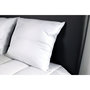 Voir la diapositive 2 : DODO Oreiller moelleux en microfibre TOTAL PROTECT