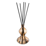 Paris Prix Diffuseur de Parfum en Verre  Li-Ly  500ml Nordic Vetiver