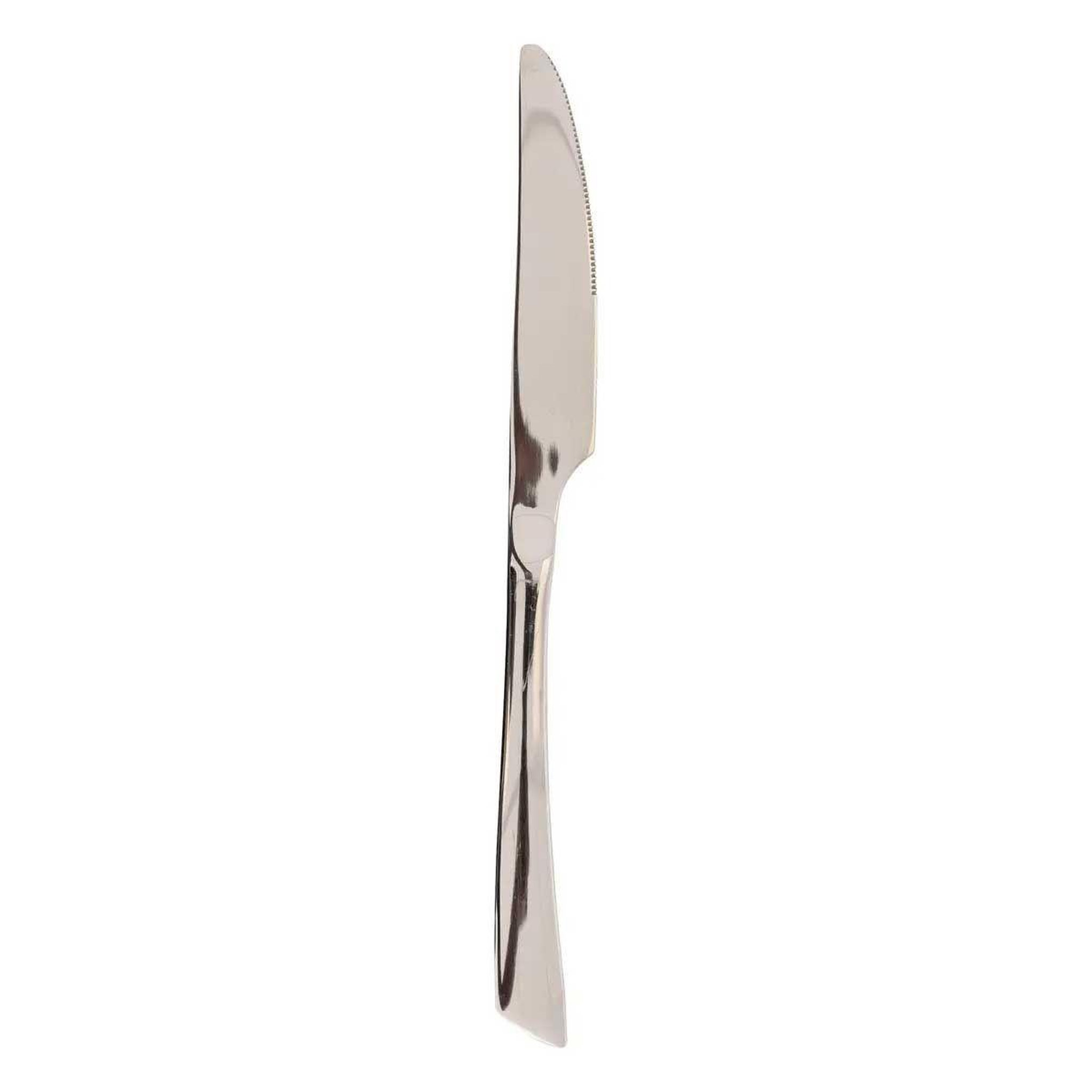 Voir la diapositive 5 : SECRET DE GOURMET Ménagère 36 pièces avec coffre  ceiba  26cm argent
