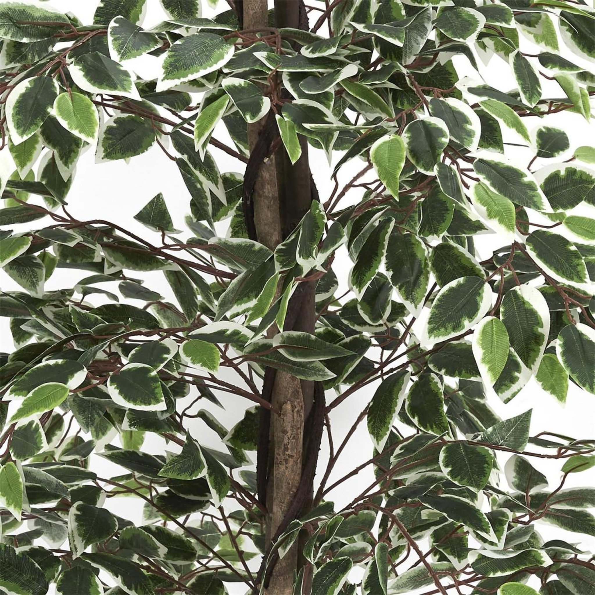 Voir la diapositive 2 : The Home Deco Factory Plante artificielle  feuillage panache  160cm vert