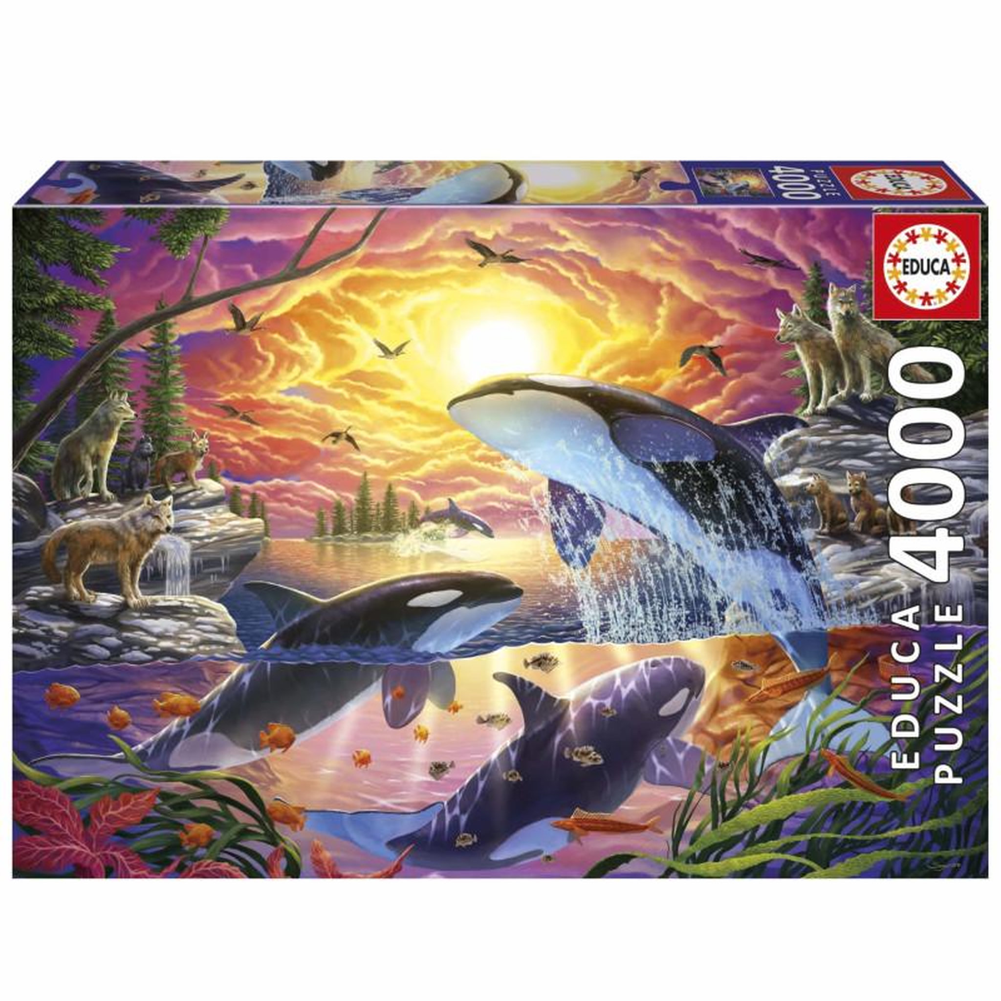 EDUCA Puzzle 4000 pièces – Orques et loups – Scène nature sauvage – Très grand format 136 x 96 cm – Défi adulte dès 15 ans – Educa